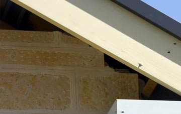 soffit repair Wood House